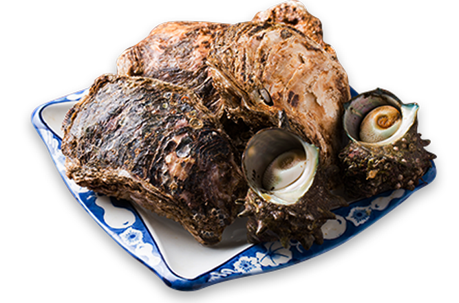 牡蠣、サザエ